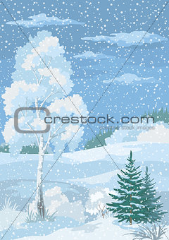 Christmas Winter Forest Landscape