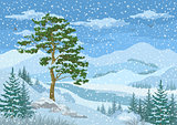 Mountain Winter Landscape