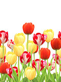Seamless border with tulips