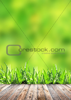 Summer grass and old wooden planks