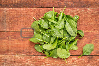 fresh baby spinach leaves