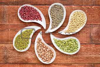 beans, lentils and pea abstract