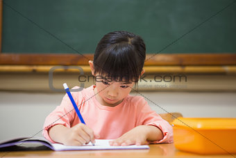Cute pupil writing at desk in classroom