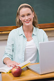 Smiling teacher at her desk