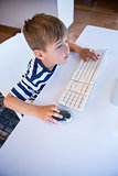 Little boy using computer in the living room