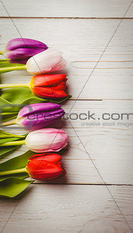 Tulip on wooden table