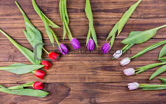Tulips forming frame