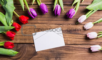 Tulips forming frame around white card