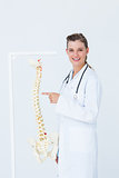 Doctor pointing an anatomical spine