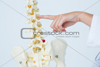 Doctor pointing an anatomical spine