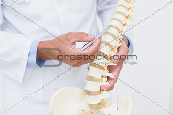 Doctor with anatomical spine