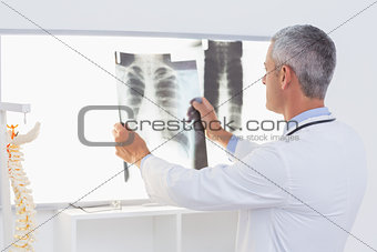 Concentrate doctor looking at X-Rays