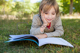 Cute little boy reading in park