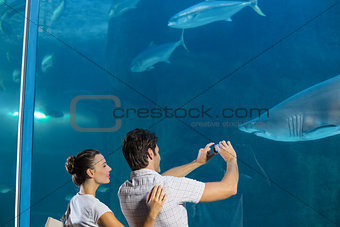 Couple taking photo of shark