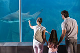 Happy family looking at shark