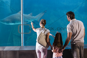 Happy family looking at shark