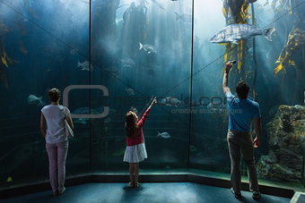Family looking at fish tank