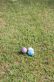Easter eggs on the grass