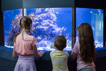 Cute children looking at fish tank