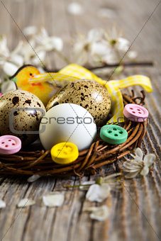 Colorful Easter nest with quail eggs closeup.
