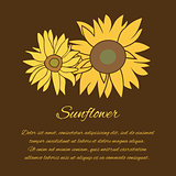 Sunflower vector greeting card on the dark background
