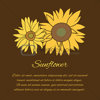 Sunflower vector greeting card on the dark background