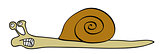 vector snail
