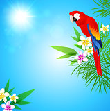 Tropical background with red parrot