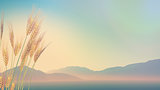 3D wheat with hills in distance with retro effect
