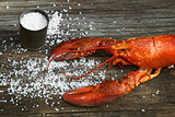 Cooked lobster with coarse salt on wood