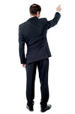 Back view of pointing businessman
