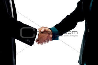 Business people handshake