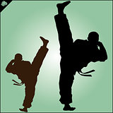Karate. Taekwon-do. Kung-fu. High kick. MARTIAL ARTS.