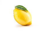 Fresh lemon with leaves on white