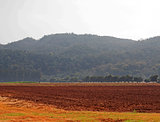 View of plowed field