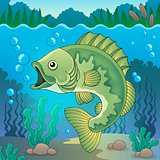 Freshwater fish topic image 1