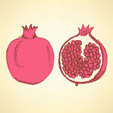 Sketch tasty pomegranates in vintage style