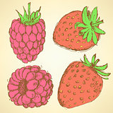Sketch strawberry and raspberry in vintage style