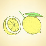 Sketch juicy lemon in vintage style
