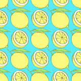 Sketch juicy lemon in vintage style