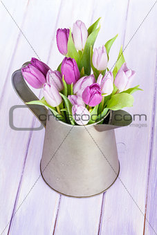 Watering can with purple tulips