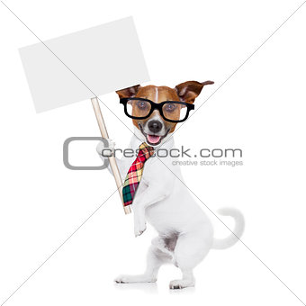 businessman dog