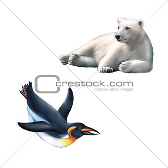 Illustration of Resting polar bear, King penguin under the water. isolated on white background