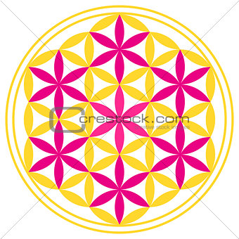 Flower of Life With Seven Magenta Stars