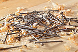 Nails and wooden shavings