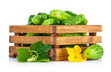 Fresh cucumbers in wooden box with green leaf and flower
