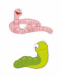 Worm and caterpillar