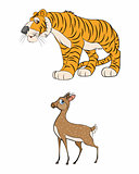 Gazelle and tiger