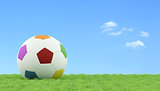 Soccer ball for children on grass