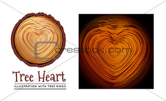 Wooden cross section of the heart shape